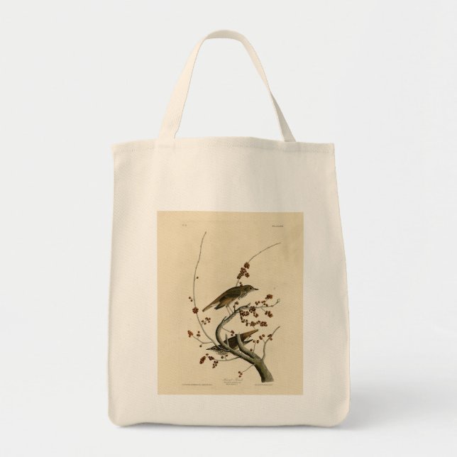Hermit Thush från Audubon's Birds of America Tygkasse (Framsidan)