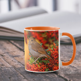 Hermit Thush Songbird på Scarlet Firethorn Mugg