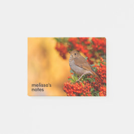Hermit Thush Songbird på Scarlet Firethorn Post-it Block