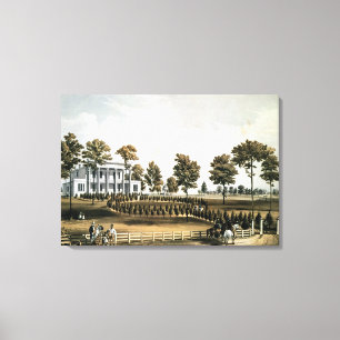 Hermitage Canvastryck