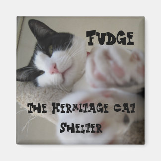 Hermitage Magnet-Fudge Magnet