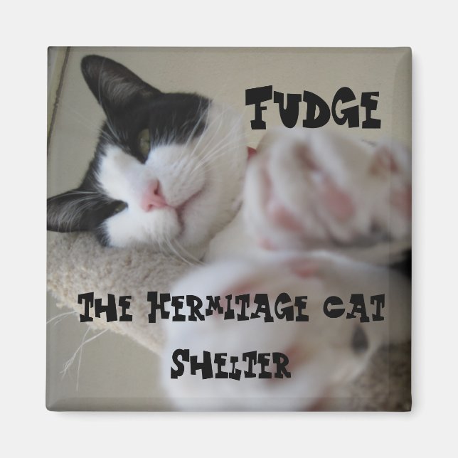 Hermitage Magnet-Fudge Magnet (Framsidan)
