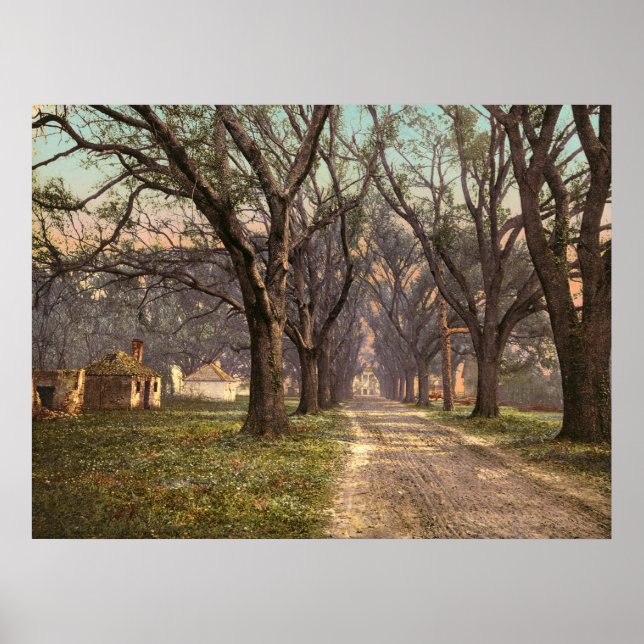 Hermitage plantation Savannah Georgia Poster (Framsidan)