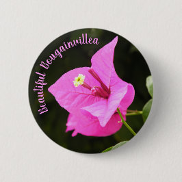 Hermosa Bugambilia Knapp