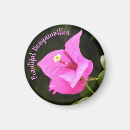 Hermosa Bugambilia Magnet