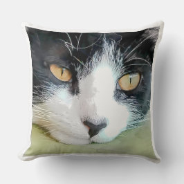 Hermosa Gatita con mirada Tierna Kudde