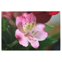 Hermoso Metall Wall Art