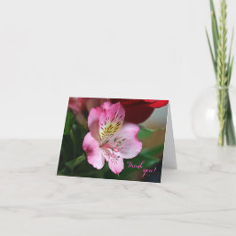 Hermoso Tack, ditt kort