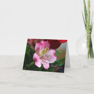 Hermoso Tack, ditt kort