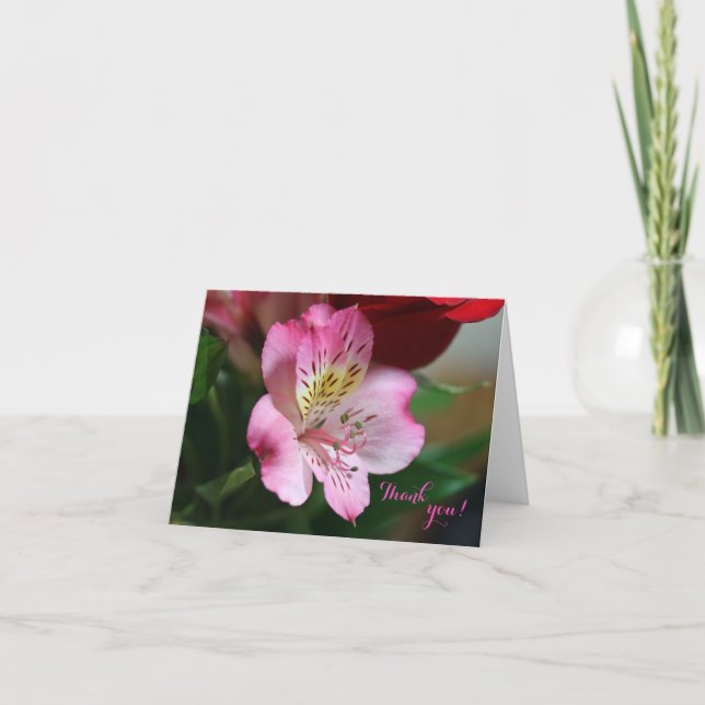 Hermoso Tack, ditt kort (Framsida)