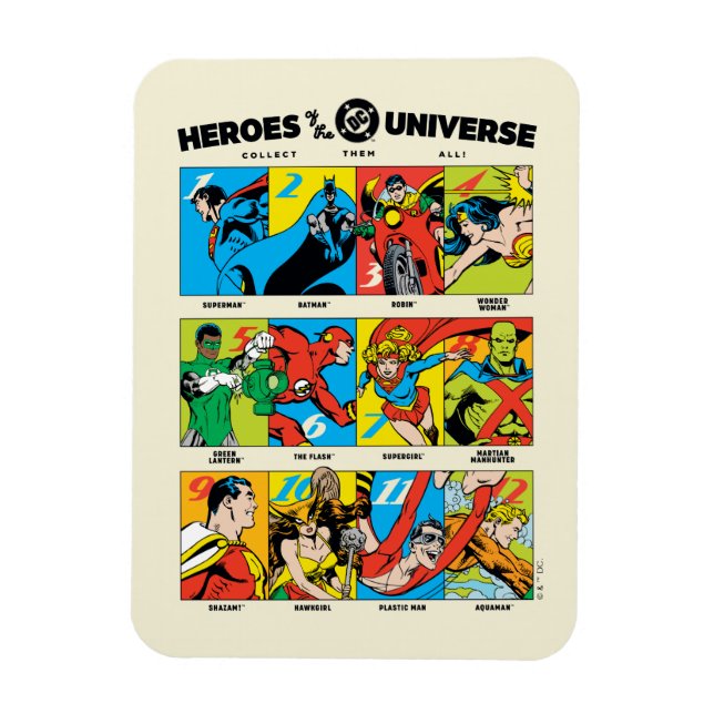 Heroes of the DC™ Universe Magnet (Vertikal)
