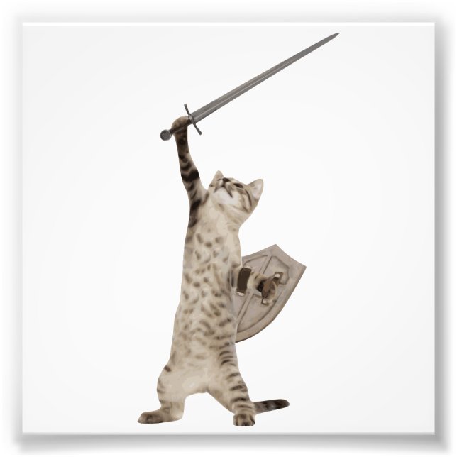 Heroic Warrior Knight Cat Fototryck (Framsidan)