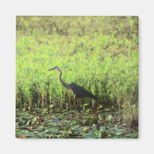 Heron 6449 magnet