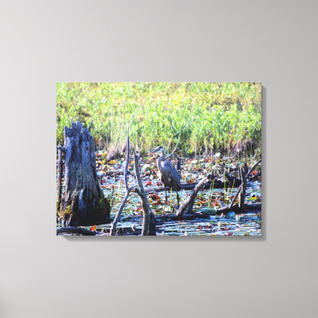 Heron 6467 canvastryck (Framsida)