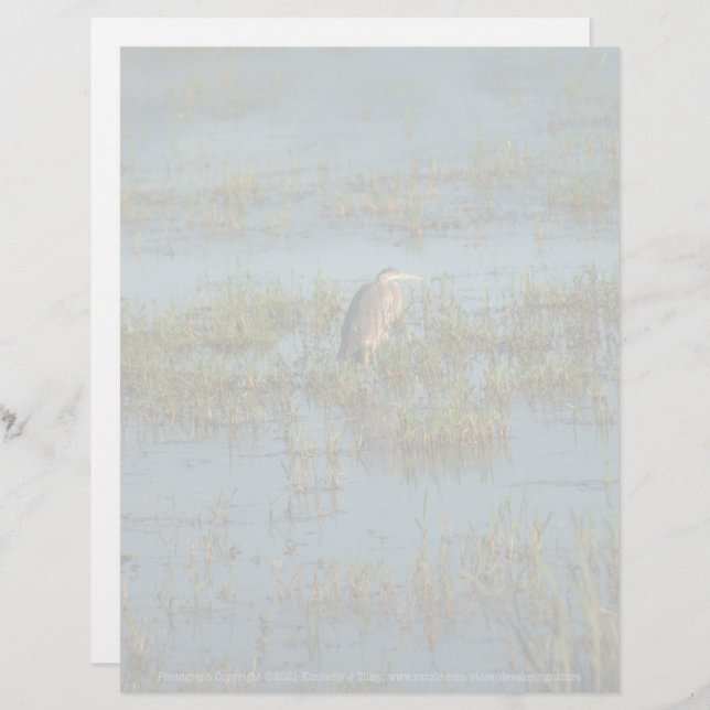 Heron 6937 (Fram/baksida)