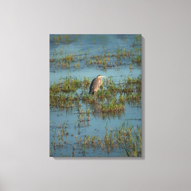 Heron 6937 canvastryck (Framsida)