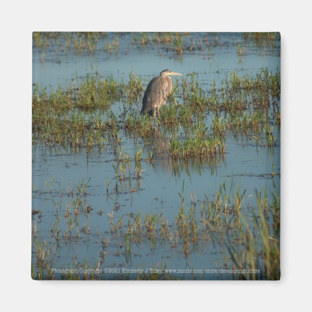 Heron 6937 magnet (Framsidan)