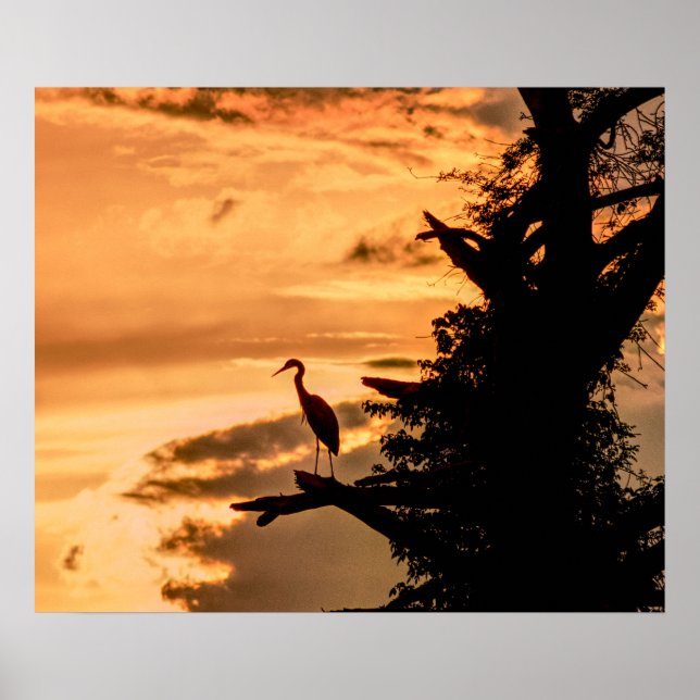 Heron at Sunset - James River - art poster (Framsidan)