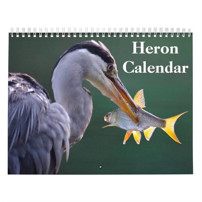 Heron Bird 2025 Kalender (Omslag)