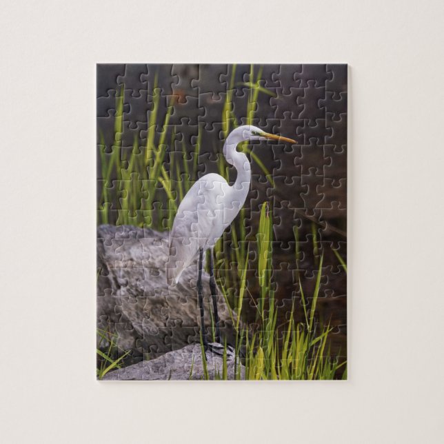 Heron Bird Nature River Sten Pussel (Vertikal)