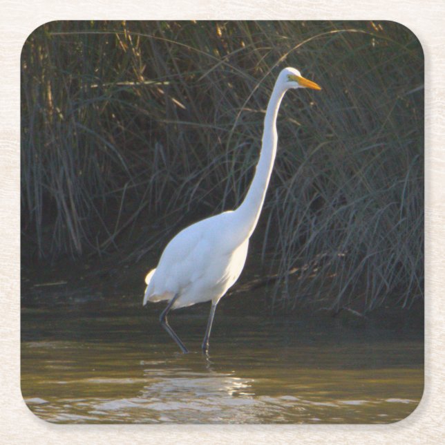 Heron Bird Photo Underlägg (Framsidan)