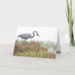 Heron Bird Wildlife Animals Wetlands Kort