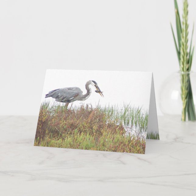 Heron Bird Wildlife Animals Wetlands Kort (Framsida)