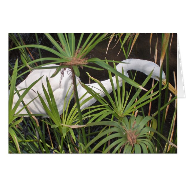 Heron Card Hälsningskort (Framsidan Horizontal)