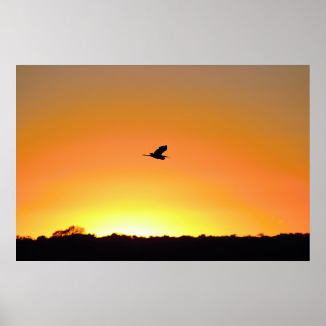 Heron Flies at Sunset Photo Poster (Framsidan)