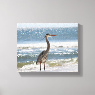Heron framför Oceanen Färg 8 x 10 Canvastryck