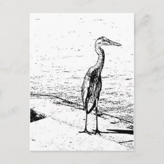 Heron i bläck vykort