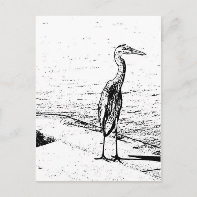 Heron i bläck vykort (Framsida)