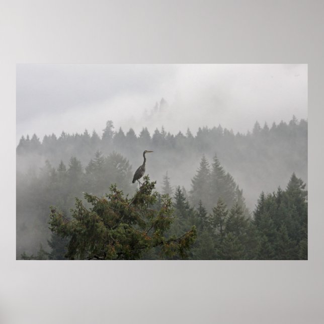 Heron i ett fuktiga bergslandskap poster (Framsidan)