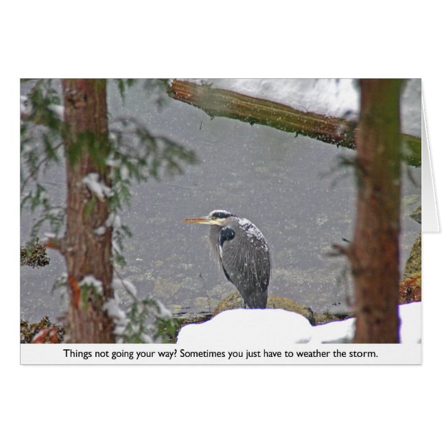Heron i snöfoto OBS kort (Framsidan Horizontal)