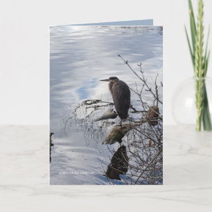 Heron i Spegel Kort
