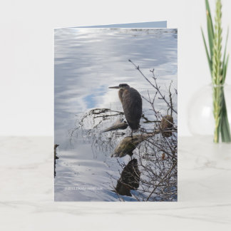 Heron i Spegel Kort