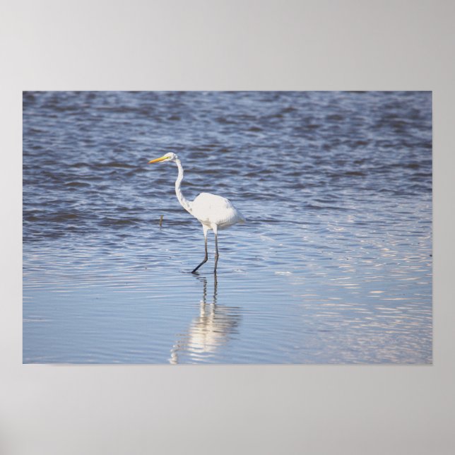 Heron i Vatten Poster (Framsidan)