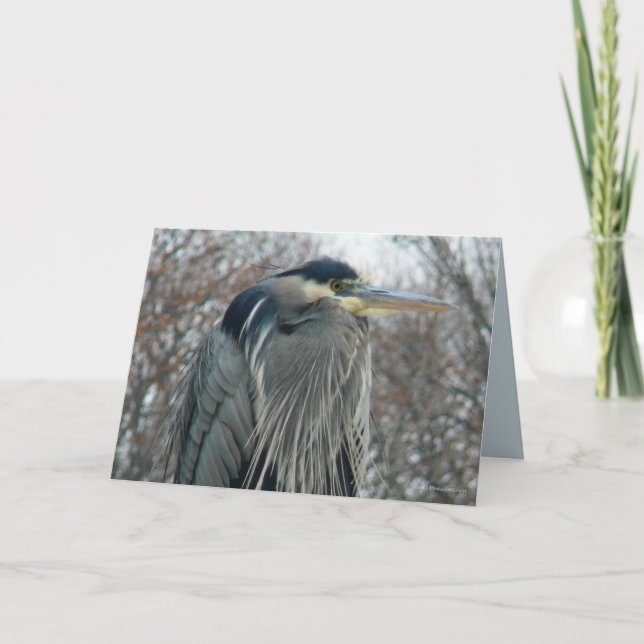 Heron i vinter kort (Framsida)