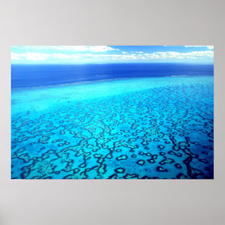 Heron Island Reef Poster
