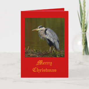 Heron julkort helgkort