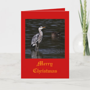 Heron julkort helgkort