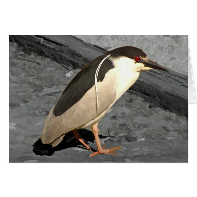 Heron - kort (Framsidan Horizontal)