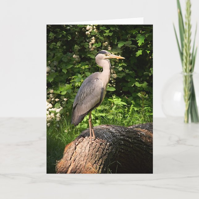 Heron ・ Kort för hälsning (Framsida)