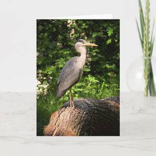Heron ・ Kort för hälsning
