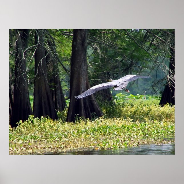 Heron Landing Poster (Framsidan)