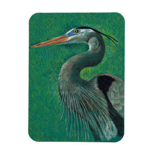 Heron Magnet