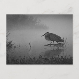 Heron Morgonvykort Vykort