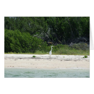 Heron OBS Kort