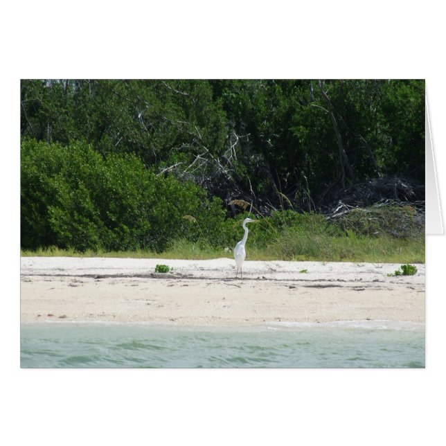 Heron OBS Kort (Framsidan Horizontal)