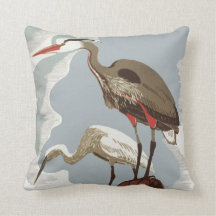 Heron- och bergskustfåglar